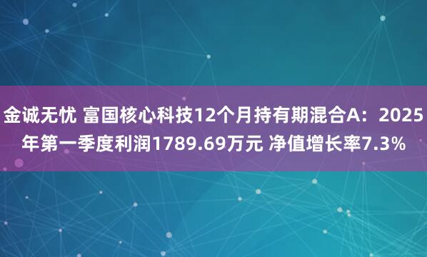 金诚无忧 富国核心科技12个月持有期混合A：2025年第一季度利润1789.69万元 净值增长率7.3%